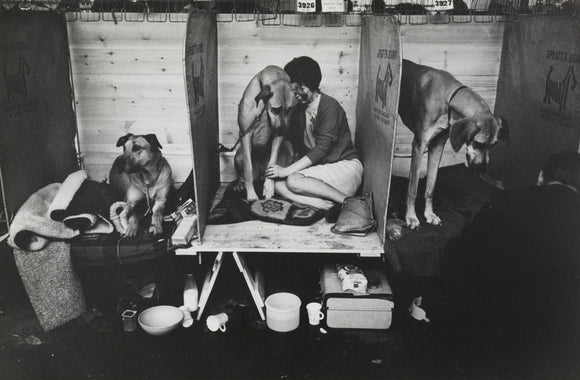 Cruft's Dog Show, London, 1966.