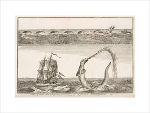 'The great Sea Serpent, according to different Descriptions', 1755.