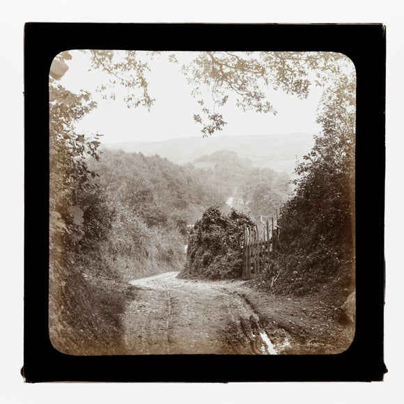 A magic lantern slide entilted 'Chambercombe Wood', by Birt Acres, c. 1893. Black carbon for projection.