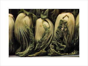 Still life of vegetables