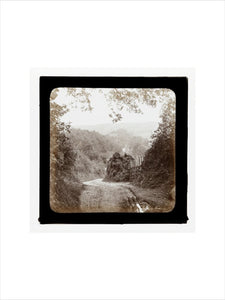 A magic lantern slide entilted 'Chambercombe Wood', by Birt Acres, c. 1893. Black carbon for projection.