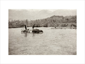 Looking Downstream