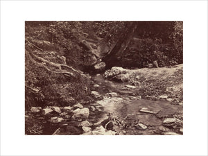 'Seven Springs, source of the Thames near Cheltenham', c 1850-1900.