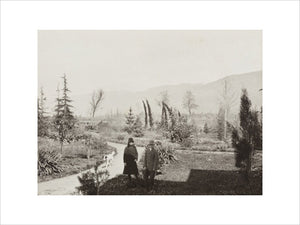 Black and white photograph entitled 'Colchido'
