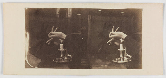 Shadowgraph of a rabbit by candlelight