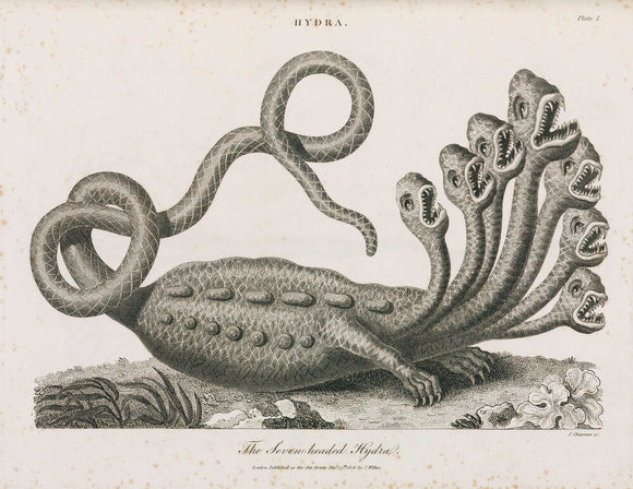 'The Seven-headed Hydra', 1806.