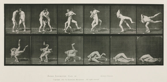 Time-lapse photographs of two men wrestling, 1872-1885.