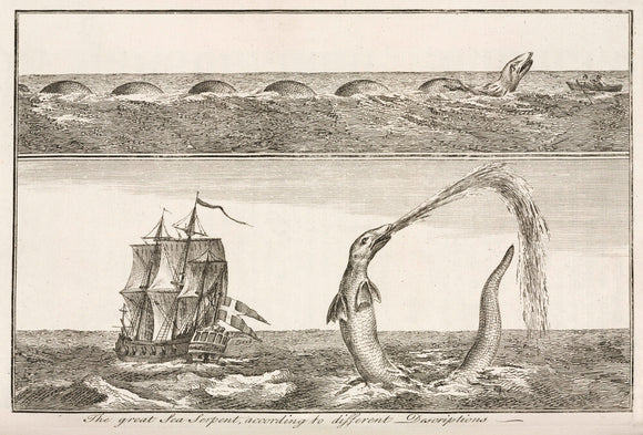 'The great Sea Serpent, according to different Descriptions', 1755.