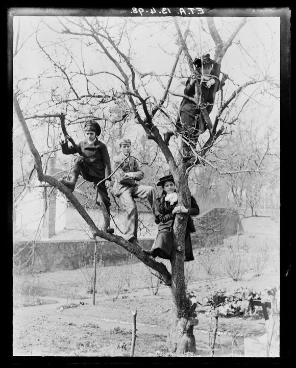 'Children In Tree', 1898.