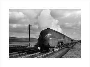 Shap summit, 1944