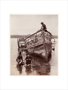 'Sea Urchins', 1888.