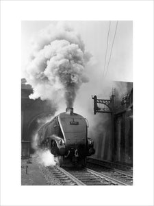 'Woodcock', A4 Class steam locomotive No 60029 c.1954