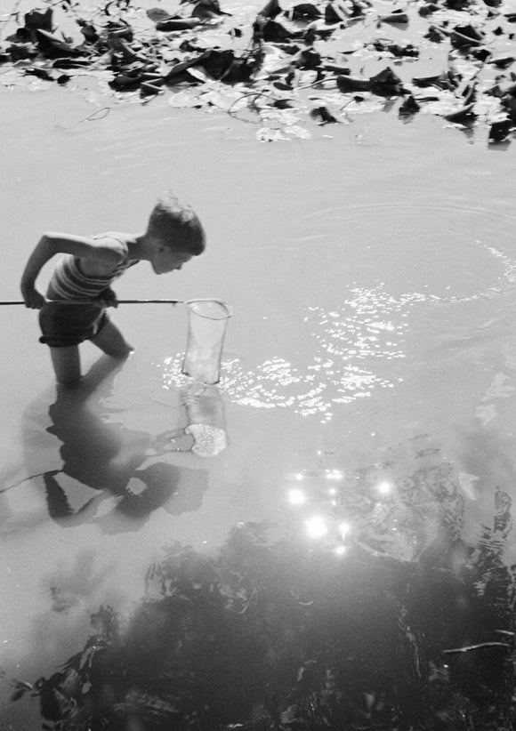Young boy fishing with a net in a pond, c.1930s.