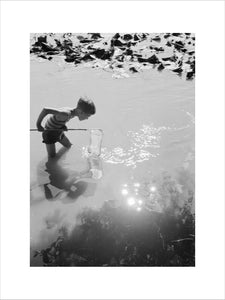 Young boy fishing with a net in a pond, c.1930s.