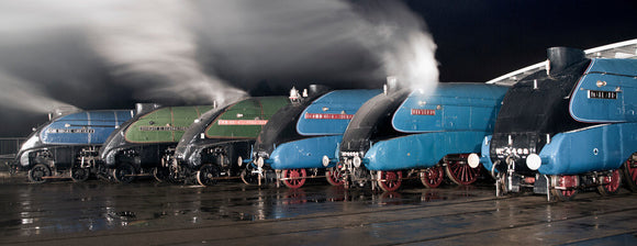 A-4 Class locomotives at the Great Gathering Great Goodbye in the National Railway Museum Shildon, 2014.
