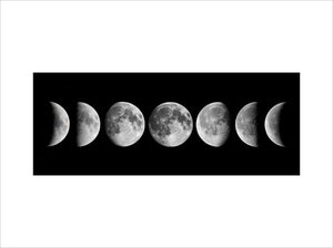 Phases of The Moon