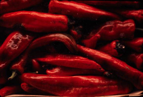 Still life of red peppers