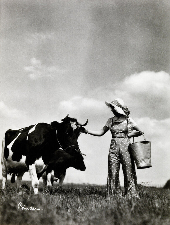 A milkmaid and cows