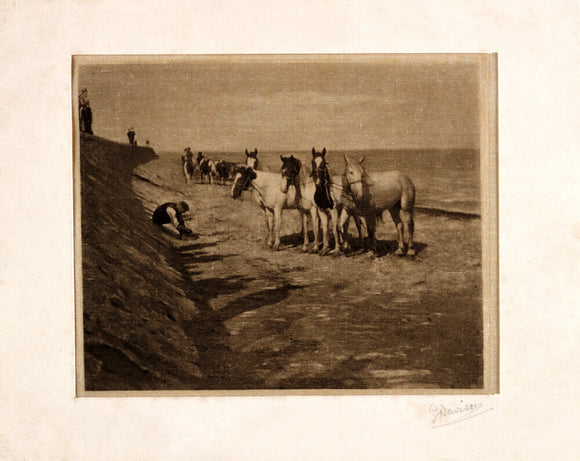 'Ring Horses', 1898.
