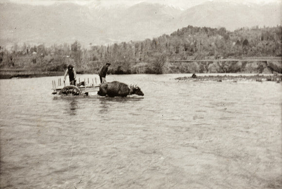 Looking Downstream